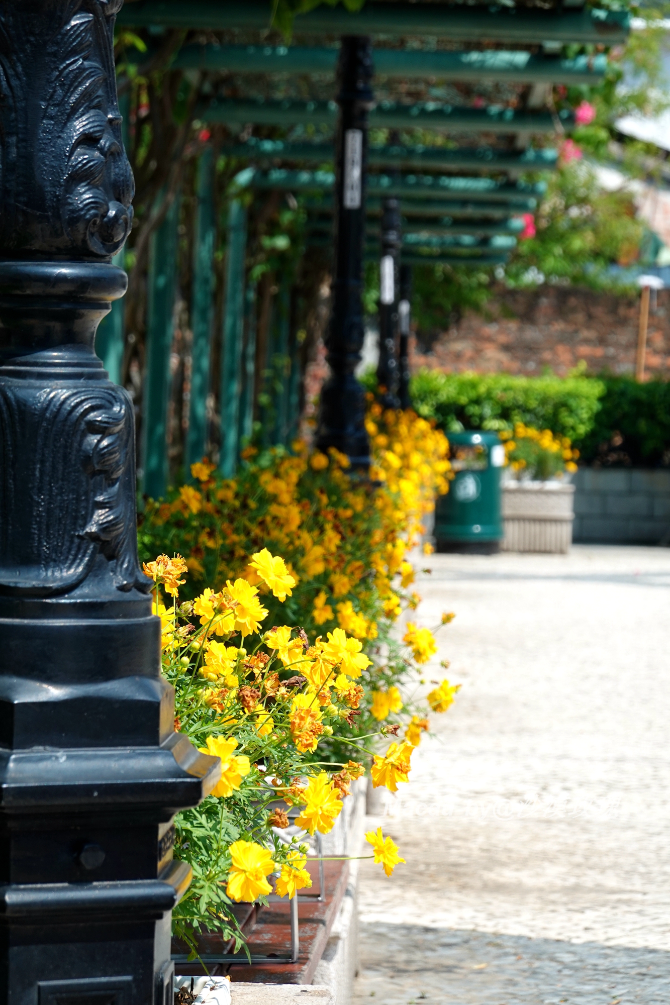 一些关于澳门的独家记忆,澳门的风土人情和生活习惯