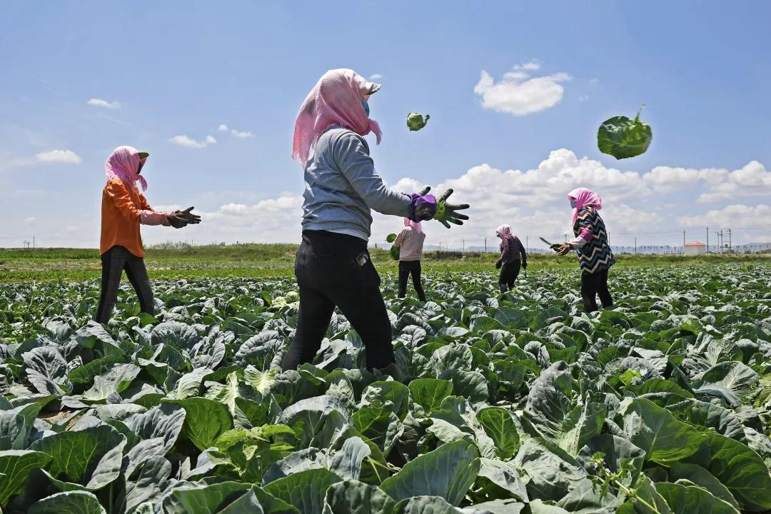 彪炳史册的六个伟大成就,彪炳史册的脱贫攻坚战