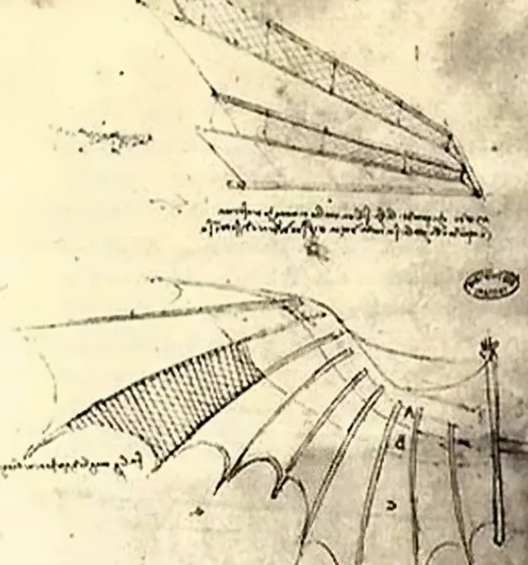 蚊子的仿生发明,蚊子仿生学发明设计