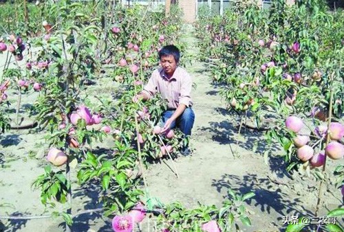 适合农村创业的项目一次性投资,农村创业项目排行榜小本生意投资