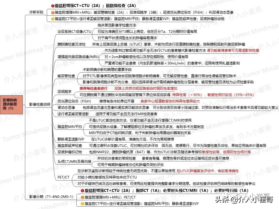 肿瘤护理思维导图,肿瘤免疫思维导图