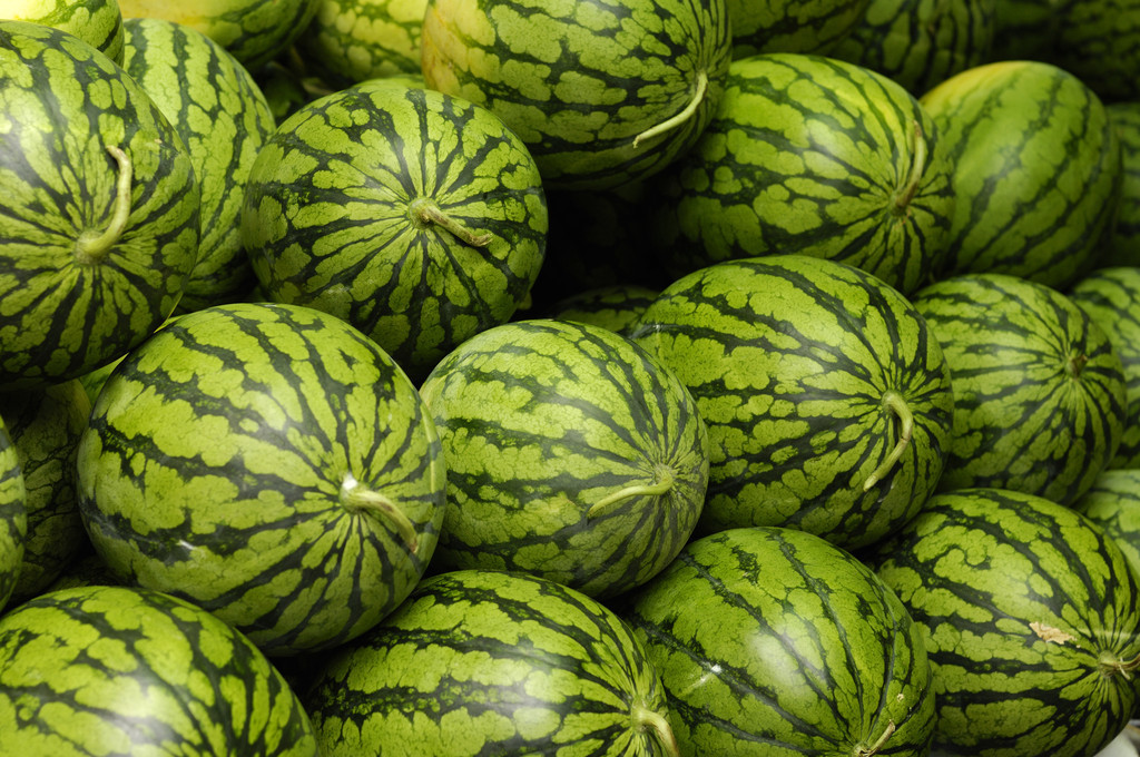 瓜类病毒病用什么药防治,瓜类作物病毒病的发生与防治