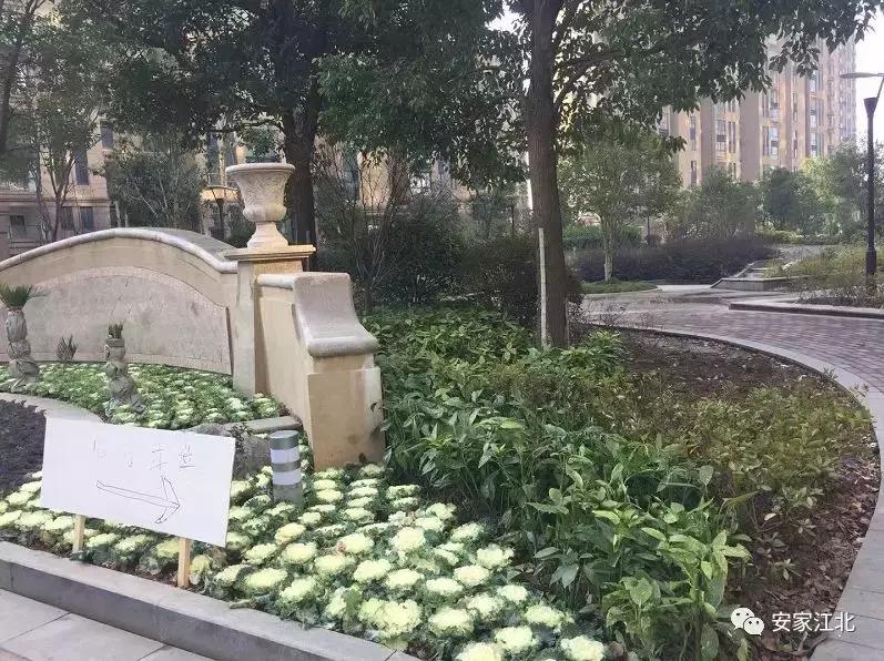 新盘捂盘几年,捂盘楼盘