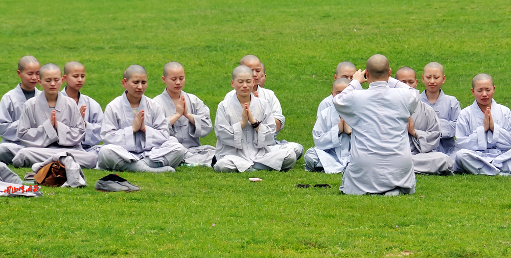 一春芳意，三月如风，日长风静，花影闲相照。