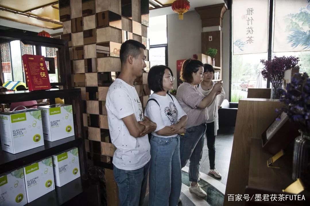 会友会景会茯茶品古品今品墨君|陕西巨鹰公司莅临金叶茯茶参观