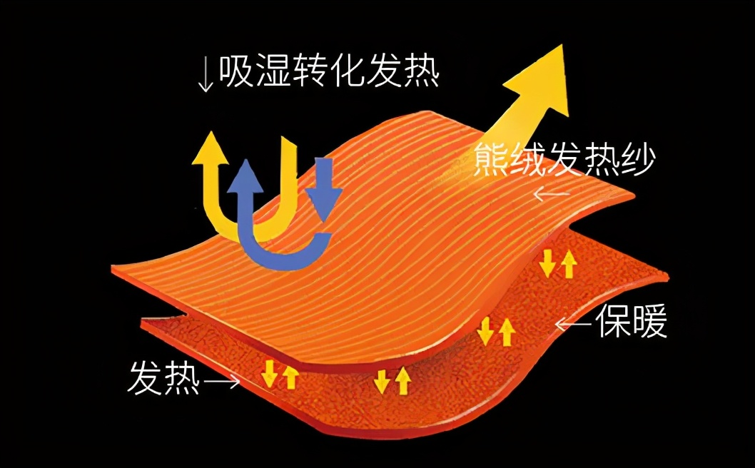 保暖衣女款加绒北极熊,鹅绒做保暖衣