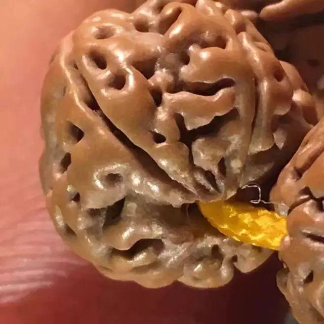 金刚菩提怎么玩才是真的,金刚菩提应该怎么玩