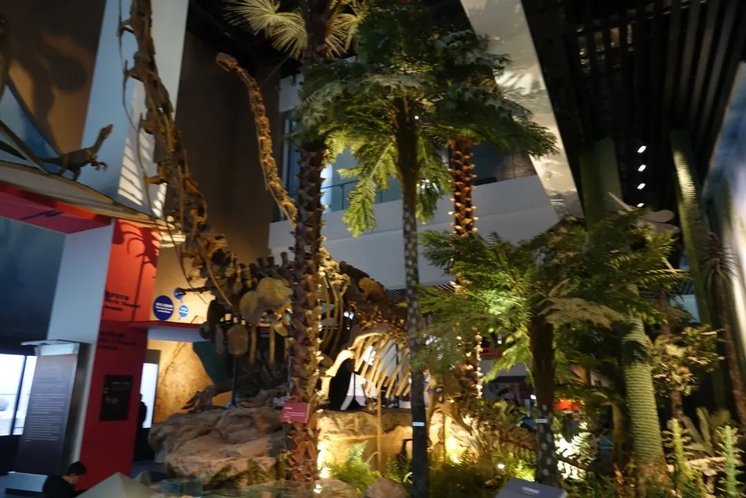 昆明一日游旅行社,昆明一日游跟团靠谱吗