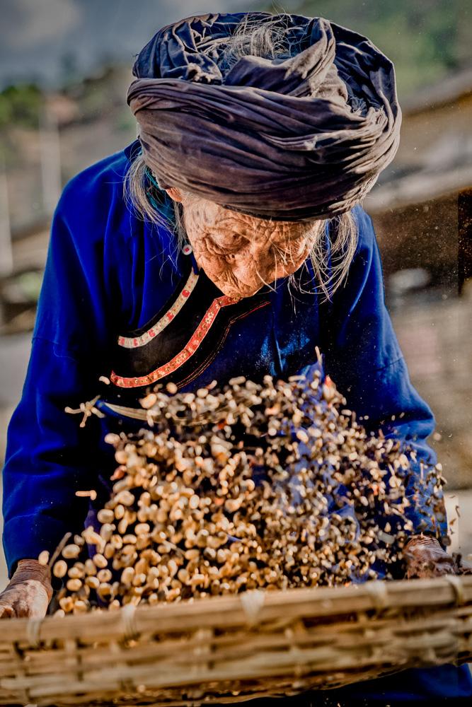 收17元卖1567元，云南咖农苦不堪言，拼多多用这方法帮了农民大忙