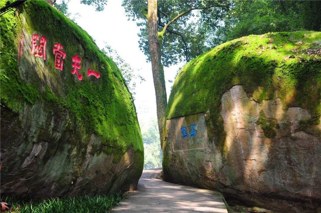 重庆市第一名的初中是哪个校园,重庆市涪陵区第10中学