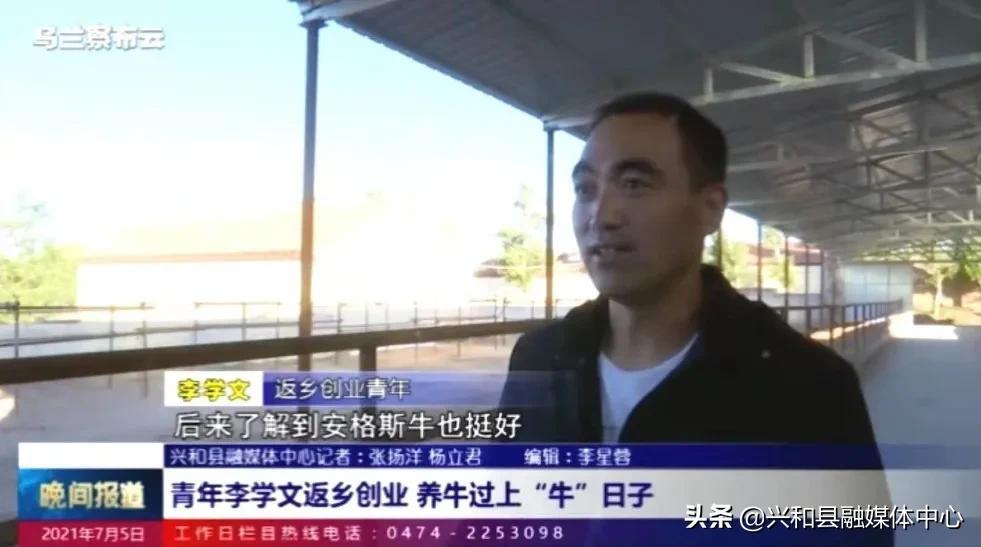 「走在小康路上」青年李学文返乡创业养牛过上“牛”日子