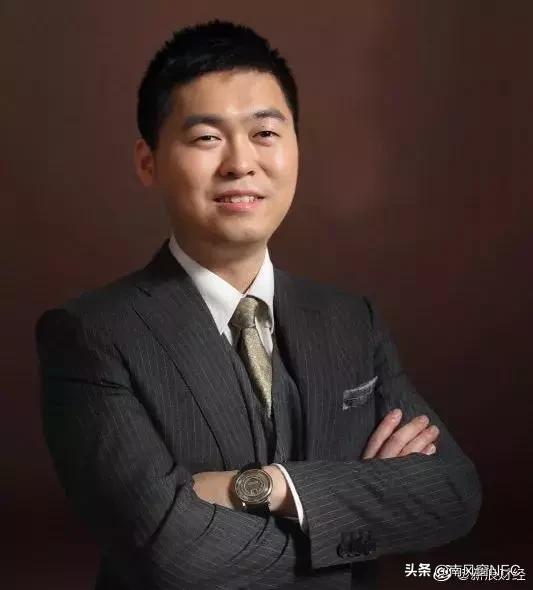 王振华什么时候被抓,王振华事件详细介绍