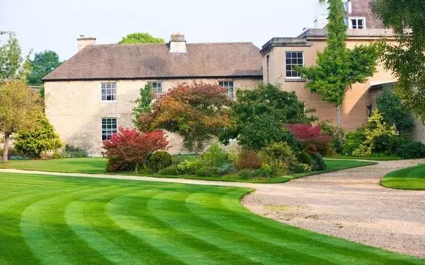 农村草坪花园设计实景图,花园草坪布局