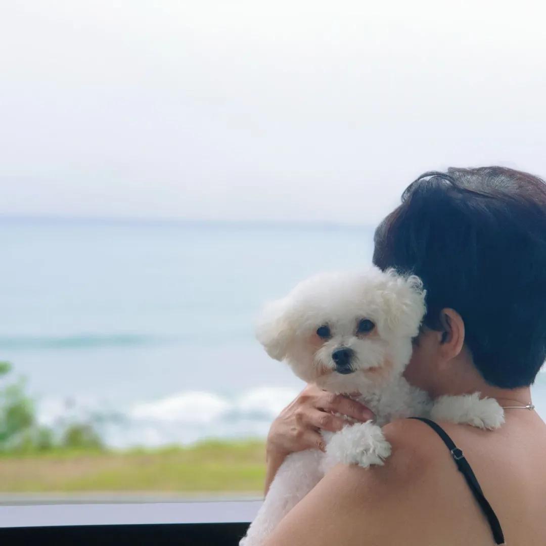 狗狗心脏病突发死亡需要多长时间,11岁的狗狗死了