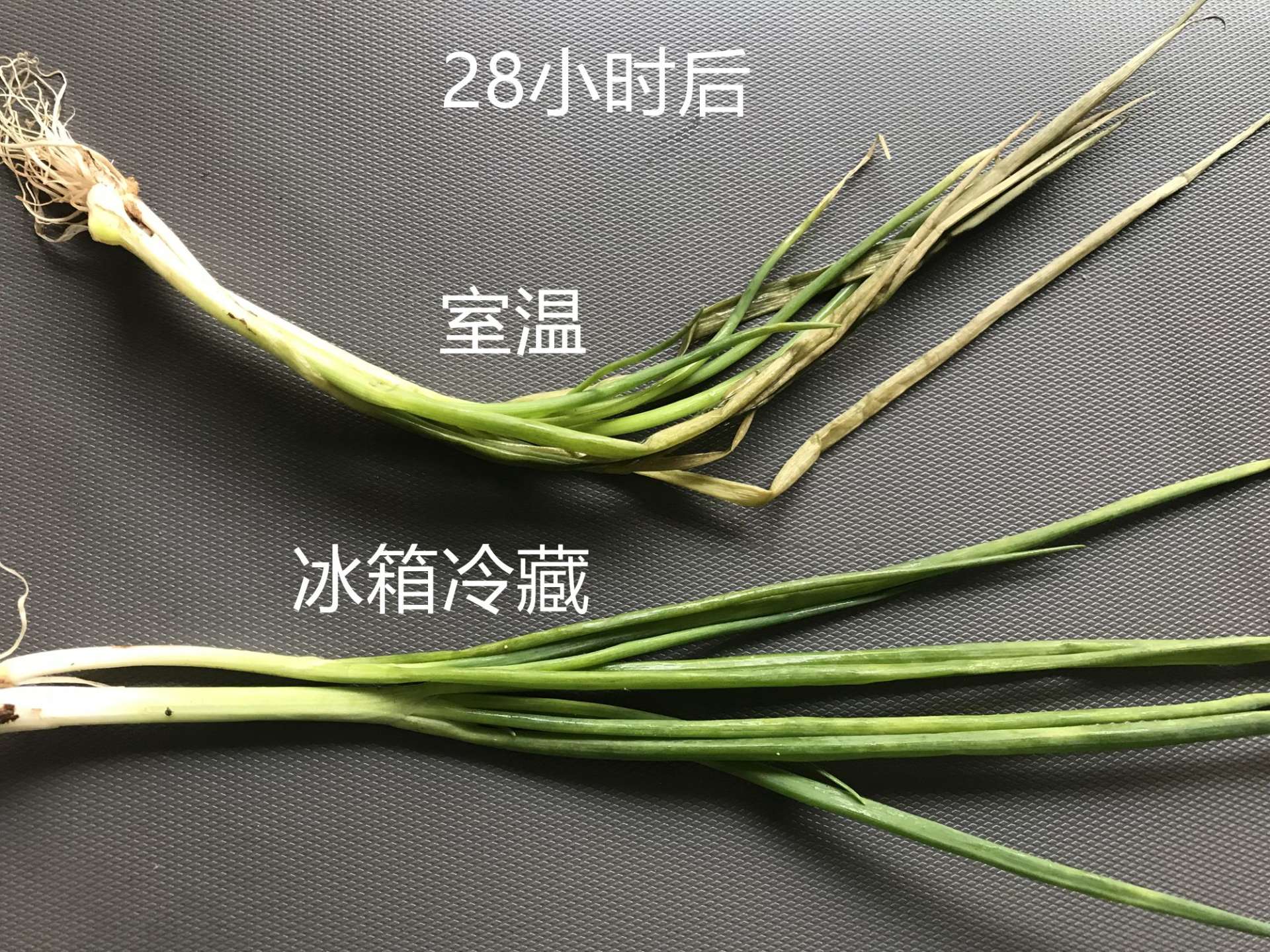 小户型风冷无霜双开门冰箱推荐,三星510l冰箱尺寸