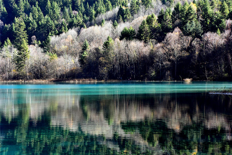 置身于童话中的九寨沟,畅游人间仙境黄龙九寨沟七日游