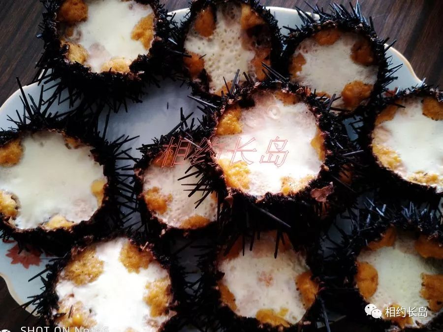 闀垮矝缃戠孩娴烽矞,闀垮矝娴烽矞澶ч鍥剧墖