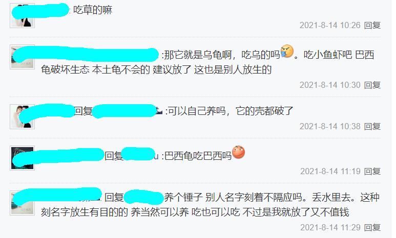 南宁钓友钓了只墨龟,背上刻了“宁莉陈”三个字,钓友:想养起来