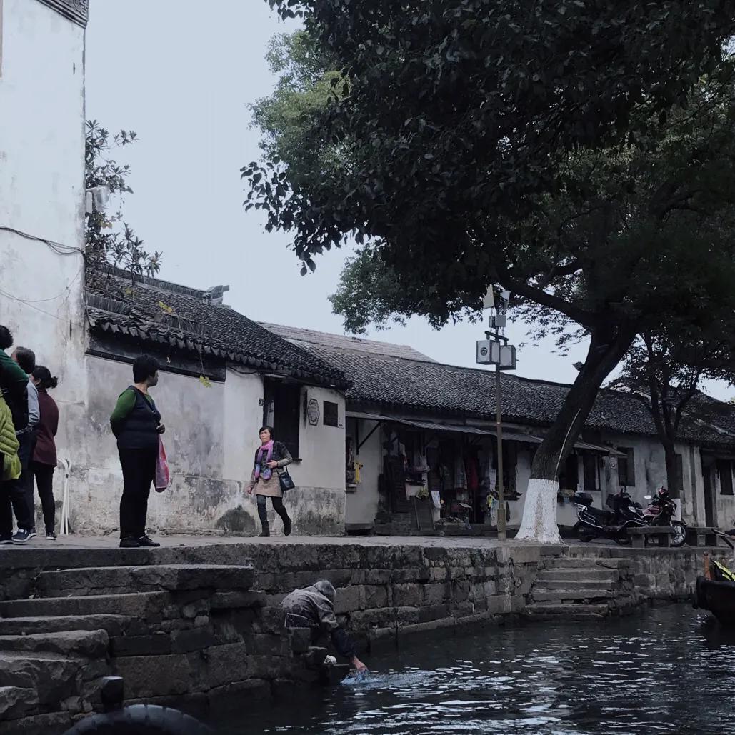 苏州同里两日游,同里古镇一日游作文500字