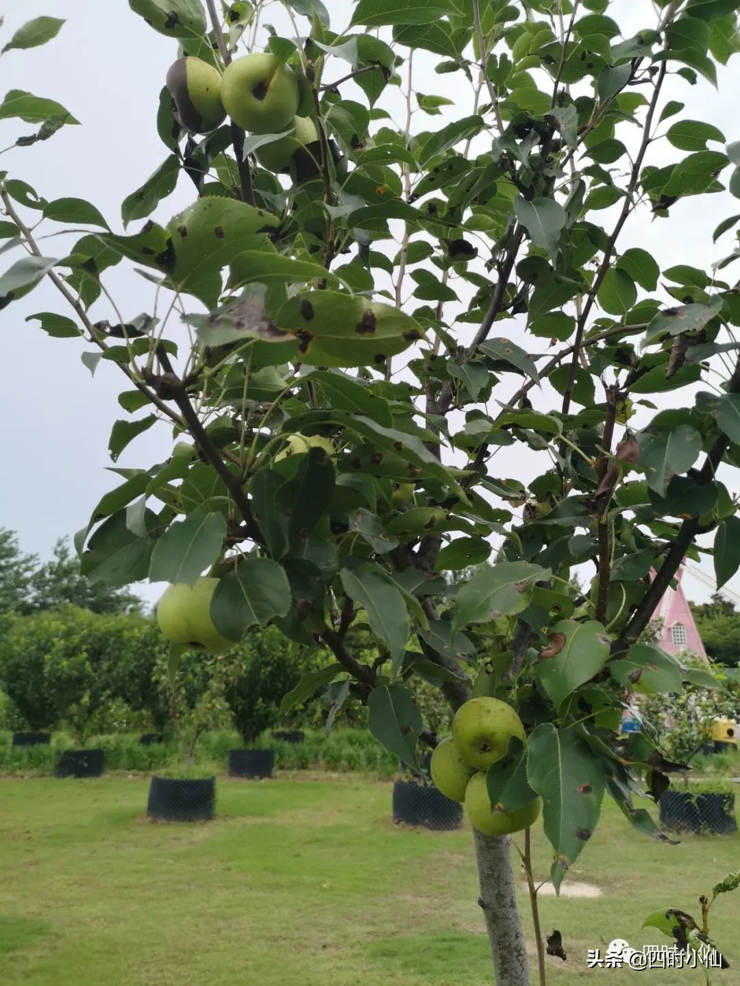 极简风网红民宿,8家网红民宿推荐