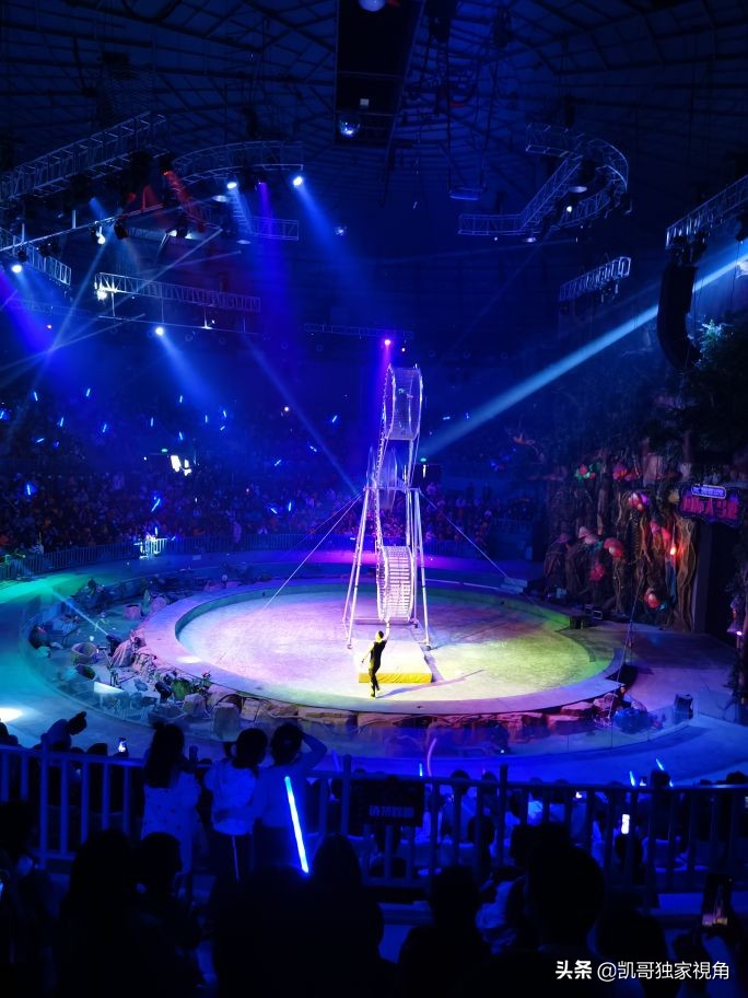 不一样的南通动物园,南通森林野生动物园和上海动物园