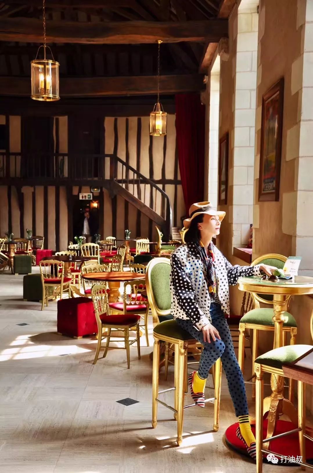 卢瓦尔河谷古堡之旅 (法国卢瓦尔河谷后花园)