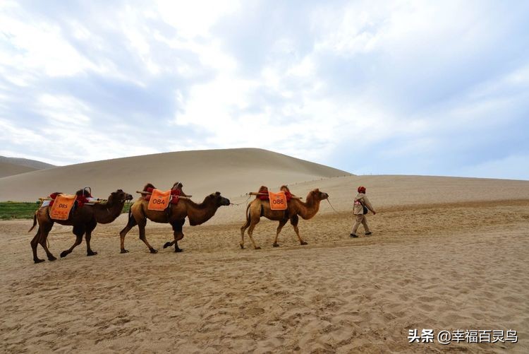 西天取经自驾游攻略,贵州出发自驾敦煌旅游攻略