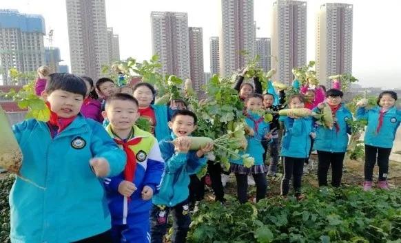 航天城第二小学教育,西安市航天城第三小学