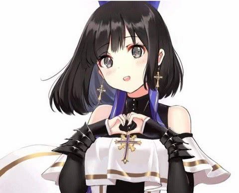 dpl详细教程视频,dpl怎么使用