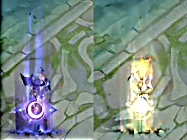 云霓雀翎皮肤专属动作,云霓雀翎返场动作怎么领