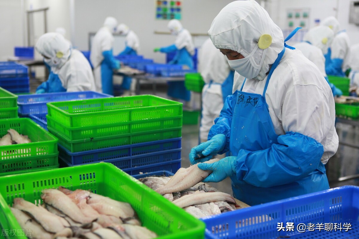 掌握朝鲜半岛的“救命鱼”，俄罗斯却拱手让中国，究竟有何企图？