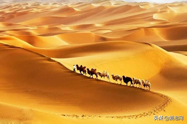 去*疆新**要注意的几件事，现在为你详细解答