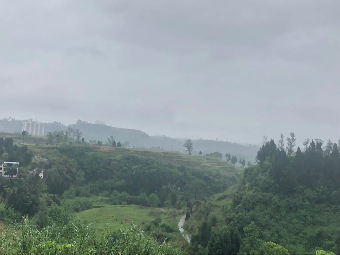 马家岩紫色花树,马家岩宜居