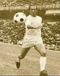 西班牙国家队绰号,西班牙队历史足球名人