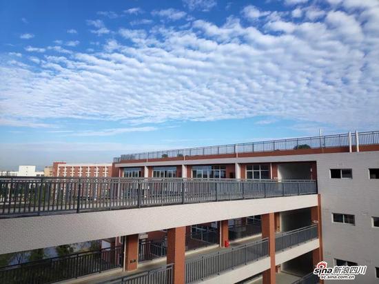 川大附中新城分校牛不牛,川大附中新城分校和川大附中