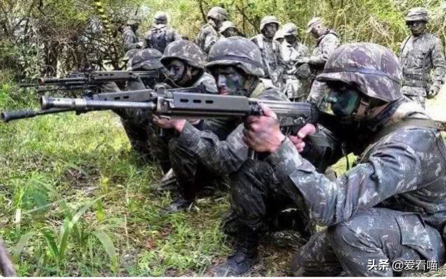 世界六大经典步枪,世界十大最强轻型步枪