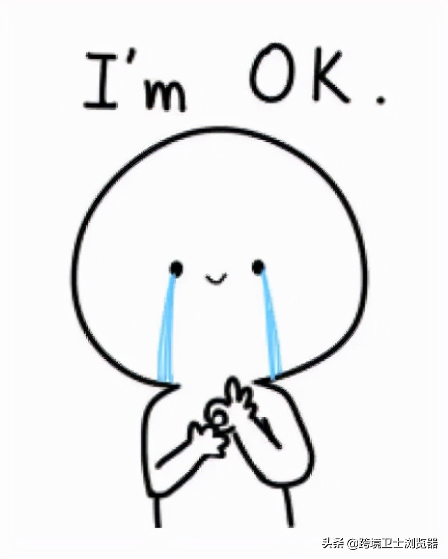 国际浏览器有哪些,跨境都用什么网站