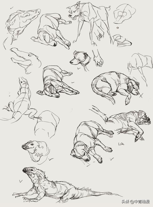 如何成为一个动画制作师,如何成为动画师