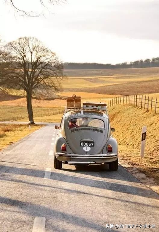男人和女人生活对比句子,男人和女人旅行区别图片