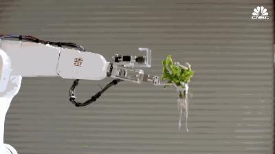 人工智能机器人觉醒对人类的威胁,人工智能机器人真的会取代人类吗