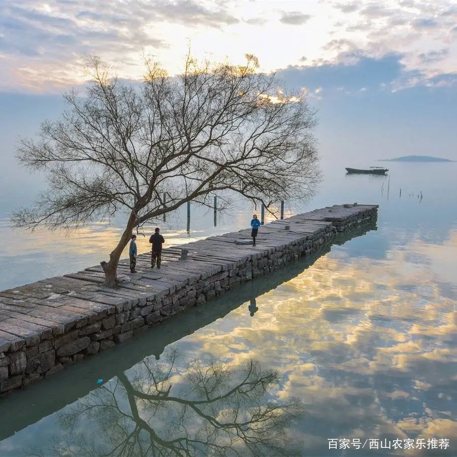 苏州西山网红打卡地樱花,苏州西山风景区有什么好玩的地方