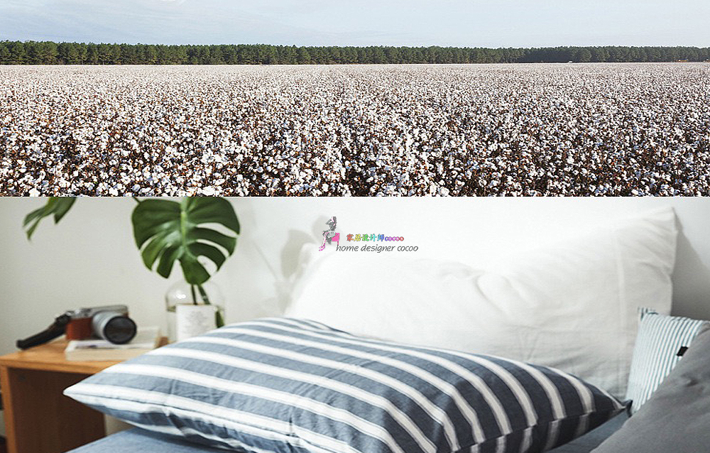 9个*疆新**棉家居工厂店,平价实用,品质不输国外大牌,值得收藏