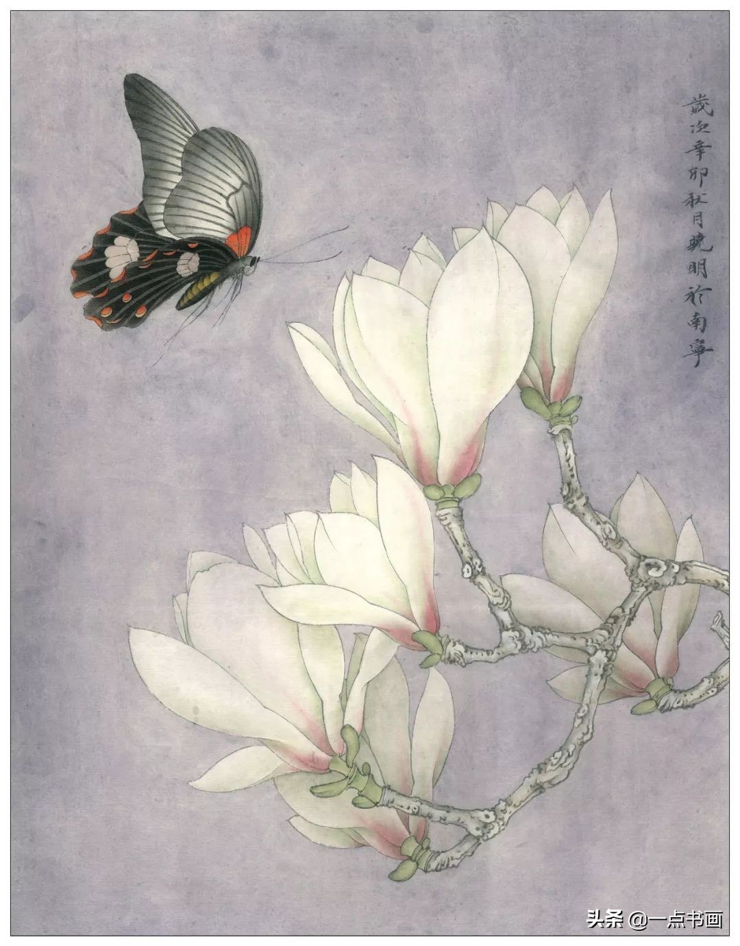 玉兰蝴蝶工笔绘制示范,玉兰蝴蝶工笔画上色步骤