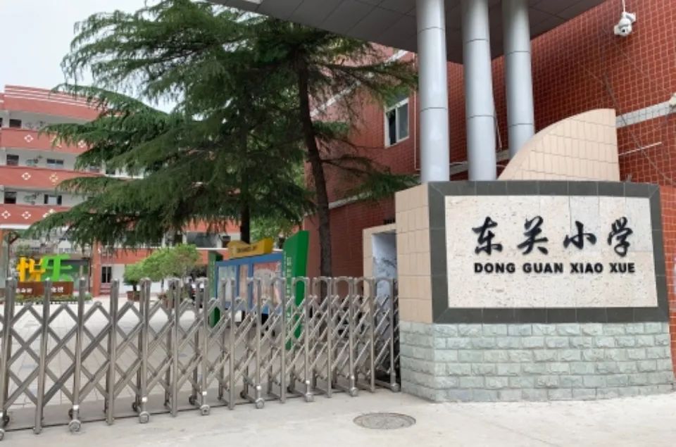 郑州市七区公办重点小学及小学基础教育概况