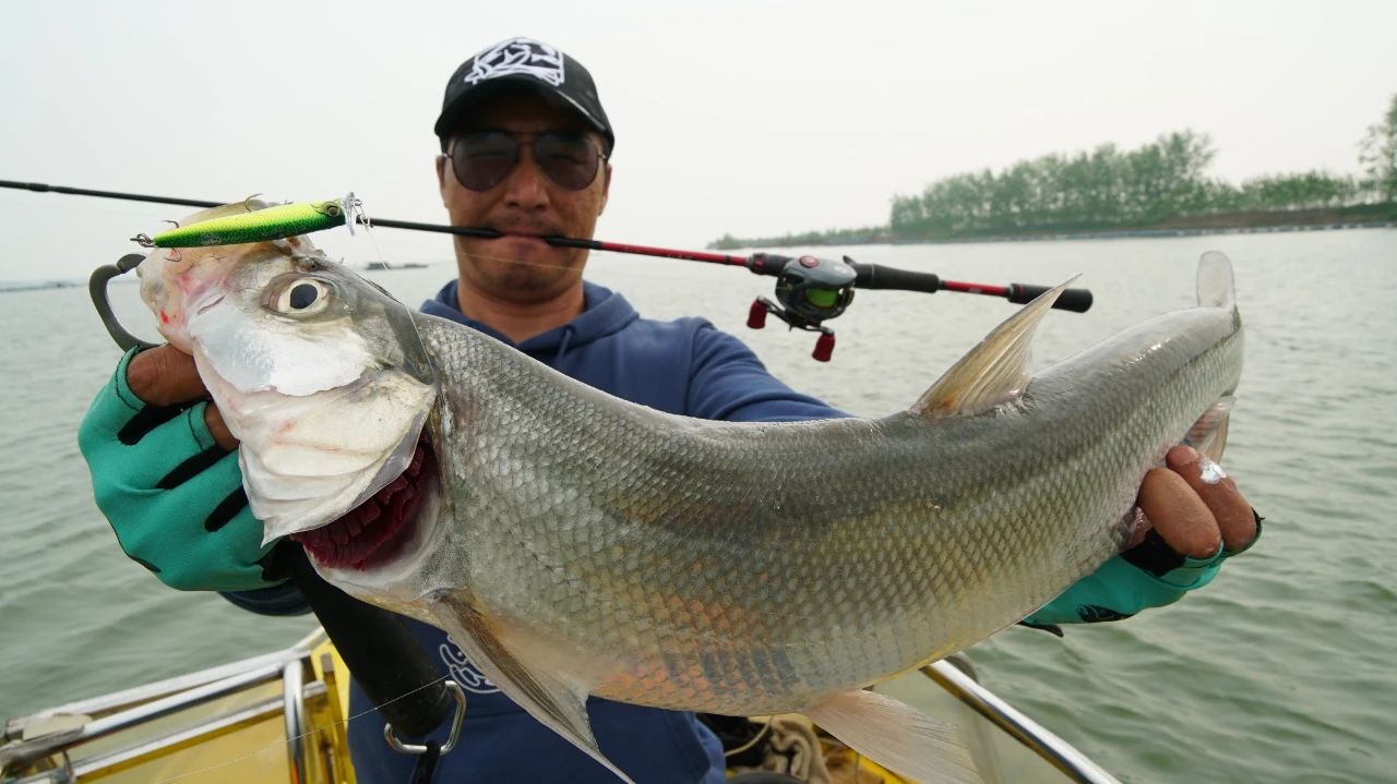 蓝旗鱼路亚翘嘴,蓝旗鱼路亚翘嘴水面系手法