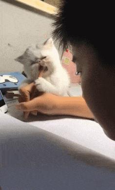 搞笑gif妹子的内心是崩溃的,搞笑gif妹子原来是个逗比