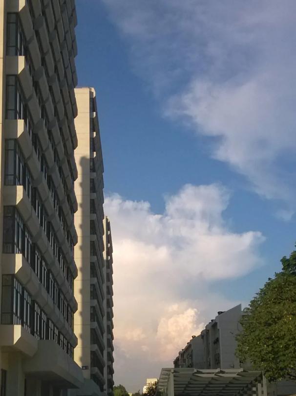 三室一厅，复合式景观房，临近地铁！南京这所双一流高校宿舍超豪华！