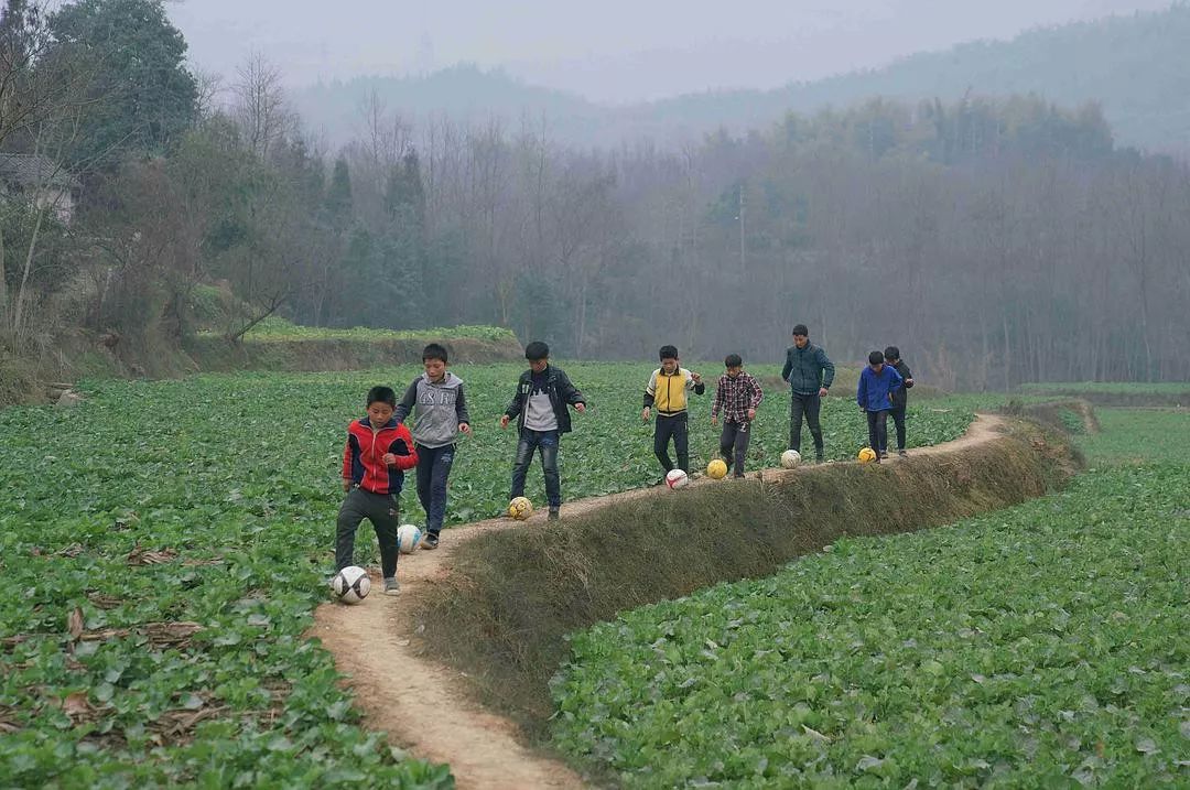 体育是最好的教育篮球,体育是最好的教育方式之一