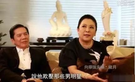 向太陈岚发长文痛骂周星驰,向太陈岚对张柏芝的评价