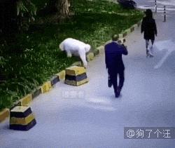 说实话养狗真的太难了,说实话养狗